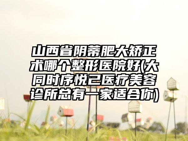 山西省阴蒂肥大矫正术哪个整形医院好(大同时序悦己医疗美容诊所总有一家适合你)