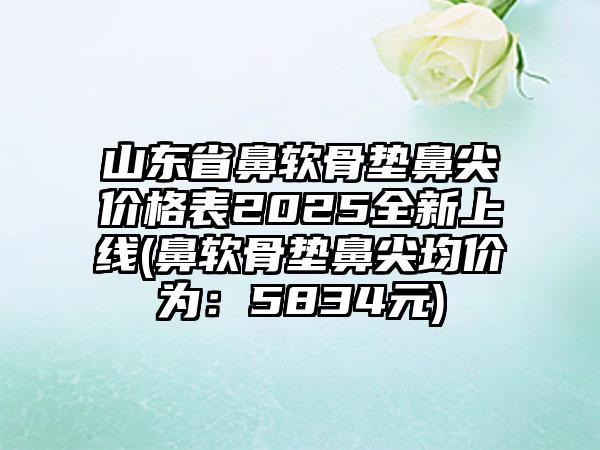 山东省鼻软骨垫鼻尖价格表2025全新上线(鼻软骨垫鼻尖均价为：5834元)