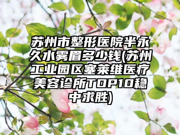 苏州市整形医院半永久水雾眉多少钱(苏州工业园区塞莱维医疗美容诊所TOP10稳中求胜)