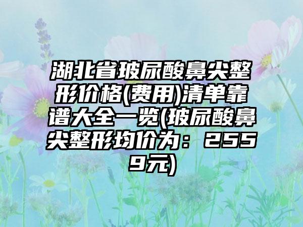 湖北省玻尿酸鼻尖整形价格(费用)清单靠谱大全一览(玻尿酸鼻尖整形均价为：2559元)