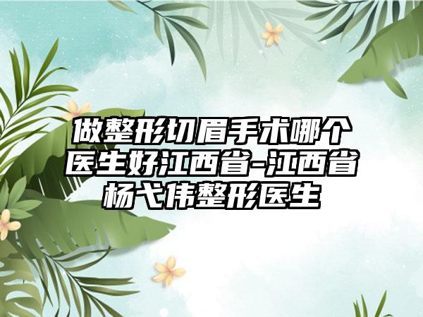 做整形切眉手术哪个医生好江西省-江西省杨弋伟整形医生