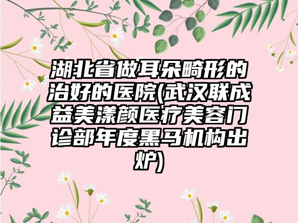 湖北省做耳朵畸形的治好的医院(武汉联成益美漾颜医疗美容门诊部年度黑马机构出炉)