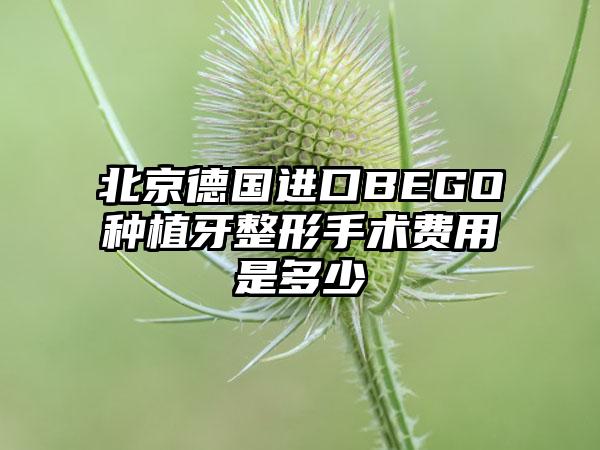 北京德国进口BEGO种植牙整形手术费用是多少