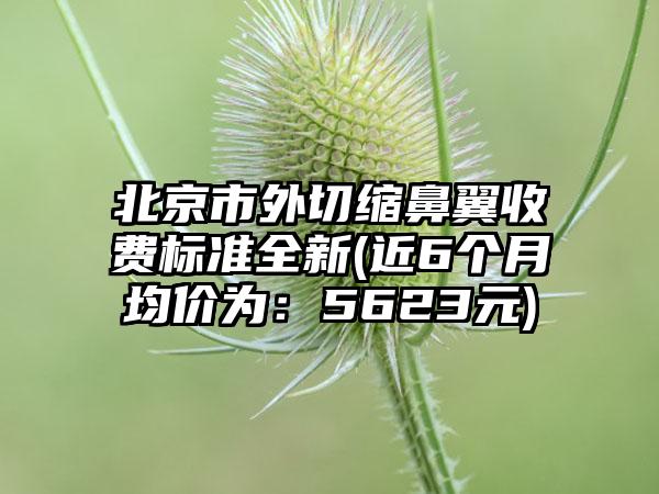 北京市外切缩鼻翼收费标准全新(近6个月均价为：5623元)