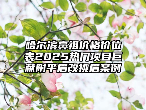 哈尔滨鼻祖价格价位表2025热门项目巨献附平眉改挑眉案例