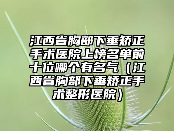 江西省胸部下垂矫正手术医院上榜名单前十位哪个有名气（江西省胸部下垂矫正手术整形医院）