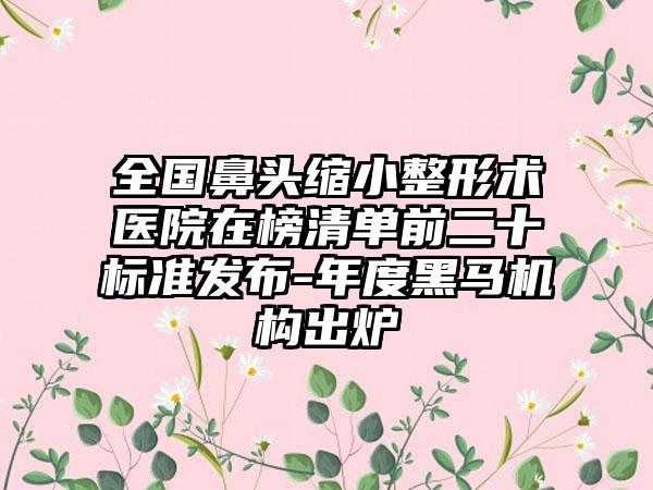 全国鼻头缩小整形术医院在榜清单前二十标准发布-年度黑马机构出炉