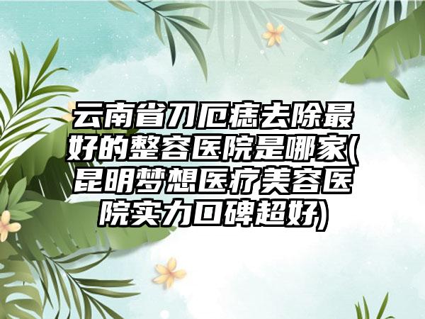 云南省刀厄痣去除最好的整容医院是哪家(昆明梦想医疗美容医院实力口碑超好)