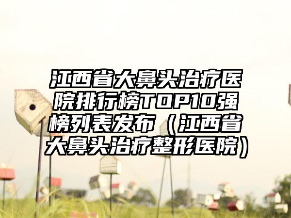 江西省大鼻头治疗医院排行榜TOP10强榜列表发布（江西省大鼻头治疗整形医院）