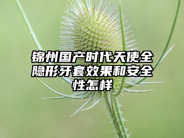 锦州国产时代天使全隐形牙套效果和安全性怎样