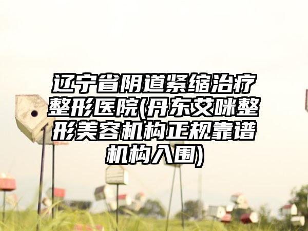 辽宁省阴道紧缩治疗整形医院(丹东艾咪整形美容机构正规靠谱机构入围)