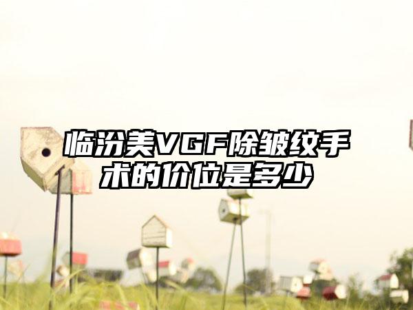 临汾美VGF除皱纹手术的价位是多少