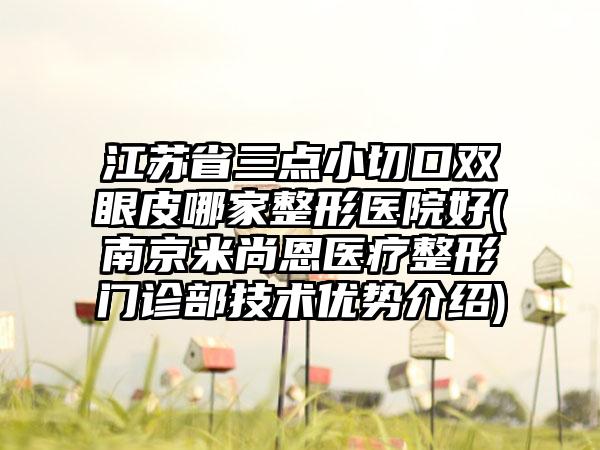 江苏省三点小切口双眼皮哪家整形医院好(南京米尚恩医疗整形门诊部技术优势介绍)