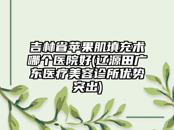 吉林省苹果肌填充术哪个医院好(辽源田广东医疗美容诊所优势突出)