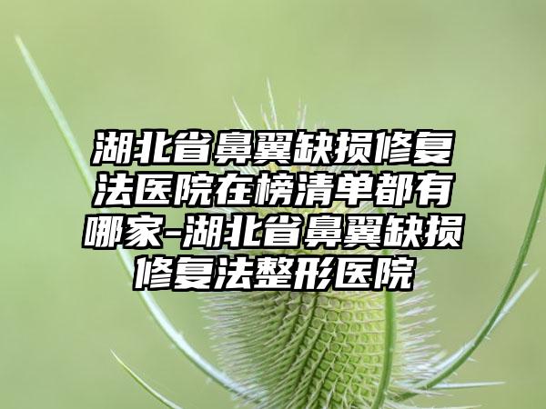 湖北省鼻翼缺损修复法医院在榜清单都有哪家-湖北省鼻翼缺损修复法整形医院