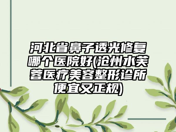 河北省鼻子透光修复哪个医院好(沧州水芙蓉医疗美容整形诊所便宜又正规)