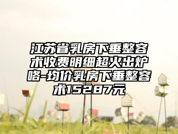 江苏省乳房下垂整容术收费明细超火出炉咯-均价乳房下垂整容术15287元