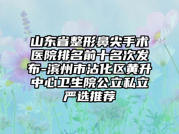 山东省整形鼻尖手术医院排名前十名次发布-滨州市沾化区黄升中心卫生院公立私立严选推荐