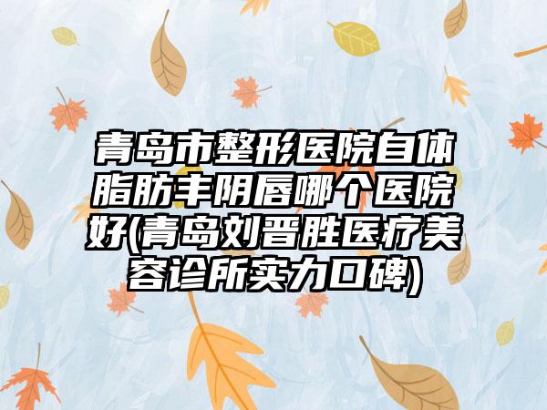 青岛市整形医院自体脂肪丰阴唇哪个医院好(青岛刘晋胜医疗美容诊所实力口碑)