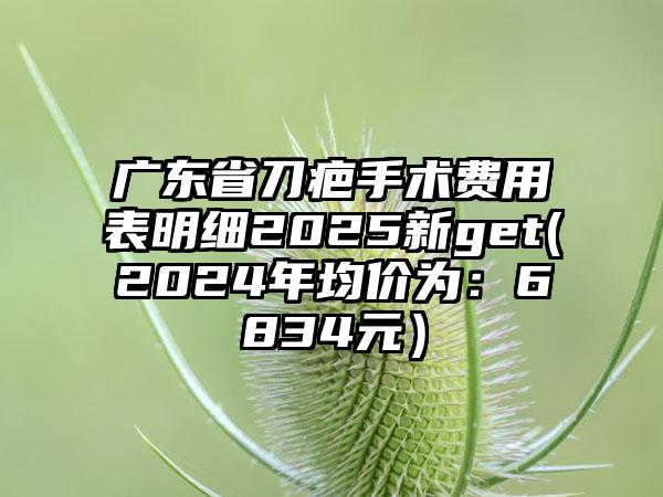 广东省刀疤手术费用表明细2025新get(2024年均价为：6834元）