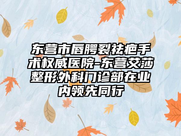 东营市唇腭裂祛疤手术权威医院-东营艾莎整形外科门诊部在业内领先同行