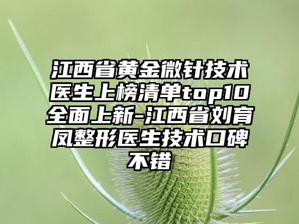 江西省黄金微针技术医生上榜清单top10全面上新-江西省刘育凤整形医生技术口碑不错