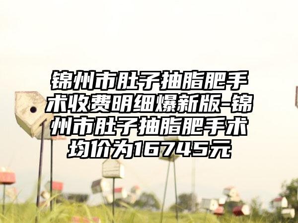 锦州市肚子抽脂肥手术收费明细爆新版-锦州市肚子抽脂肥手术均价为16745元