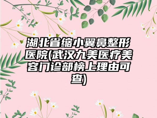 湖北省缩小翼鼻整形医院(武汉九美医疗美容门诊部榜上理由可查)