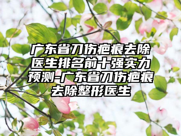 广东省刀伤疤痕去除医生排名前十强实力预测-广东省刀伤疤痕去除整形医生