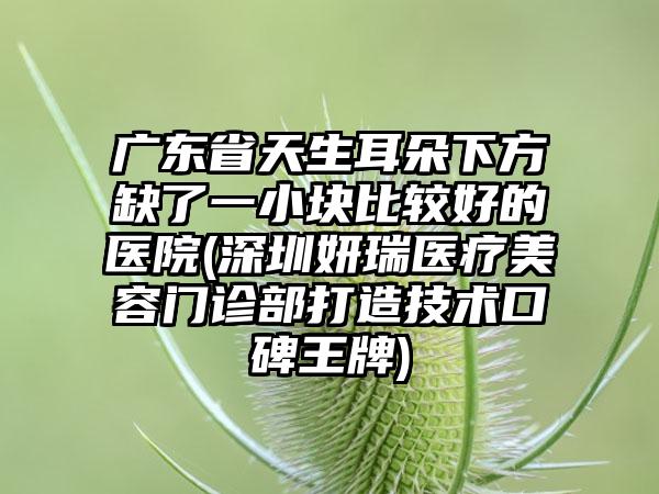 广东省天生耳朵下方缺了一小块比较好的医院(深圳妍瑞医疗美容门诊部打造技术口碑王牌)