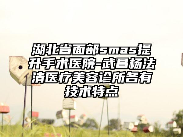 湖北省面部smas提升手术医院-武昌杨法清医疗美容诊所各有技术特点