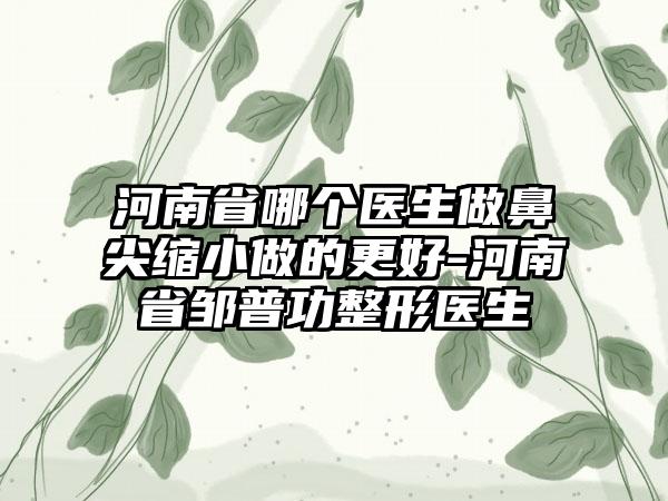 河南省哪个医生做鼻尖缩小做的更好-河南省邹普功整形医生