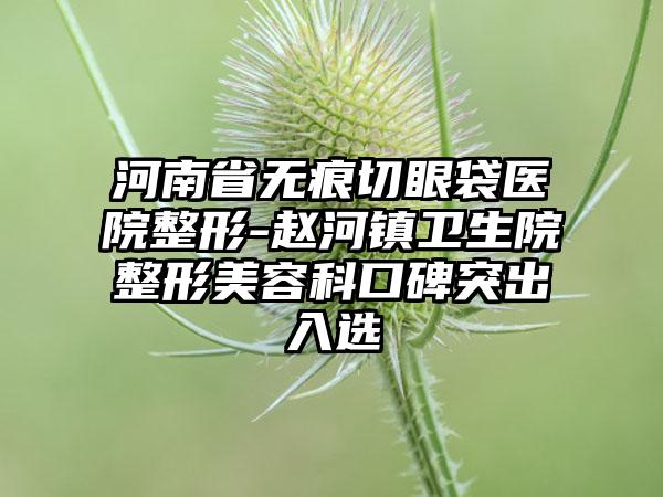 河南省无痕切眼袋医院整形-赵河镇卫生院整形美容科口碑突出入选