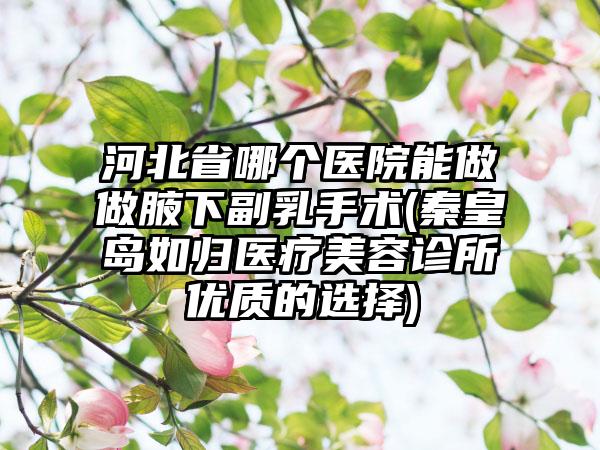 河北省哪个医院能做做腋下副乳手术(秦皇岛如归医疗美容诊所优质的选择)