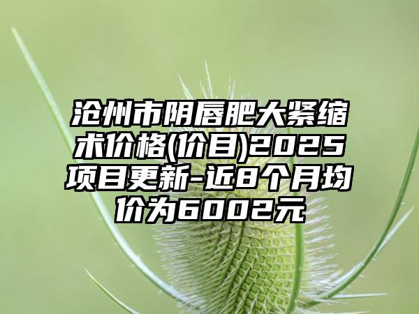 沧州市阴唇肥大紧缩术价格(价目)2025项目更新-近8个月均价为6002元