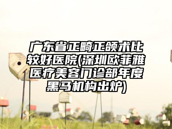 广东省正畸正颌术比较好医院(深圳欧菲雅医疗美容门诊部年度黑马机构出炉)