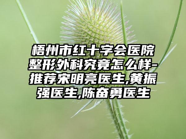 梧州市红十字会医院整形外科究竟怎么样-推荐宋明亮医生,黄振强医生,陈奋勇医生