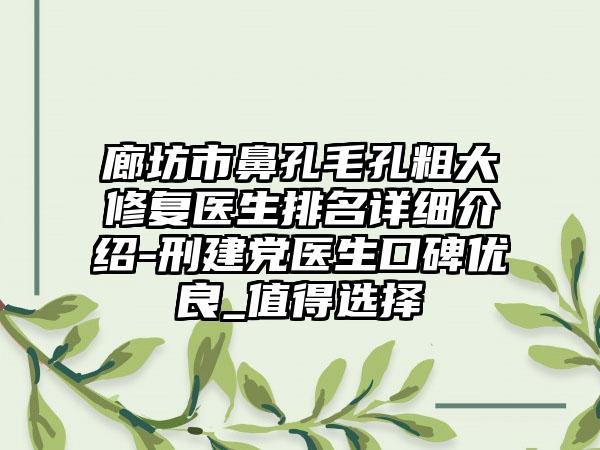 廊坊市鼻孔毛孔粗大修复医生排名详细介绍-刑建党医生口碑优良_值得选择