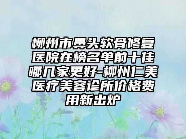 柳州市鼻头软骨修复医院在榜名单前十佳哪几家更好-柳州仁美医疗美容诊所价格费用新出炉