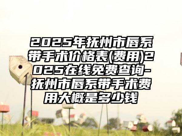 2025年抚州市唇系带手术价格表(费用)2025在线免费查询-抚州市唇系带手术费用大概是多少钱