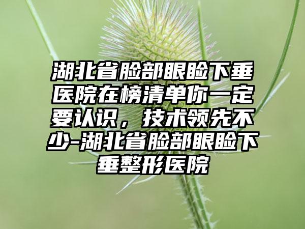 湖北省脸部眼睑下垂医院在榜清单你一定要认识，技术领先不少-湖北省脸部眼睑下垂整形医院