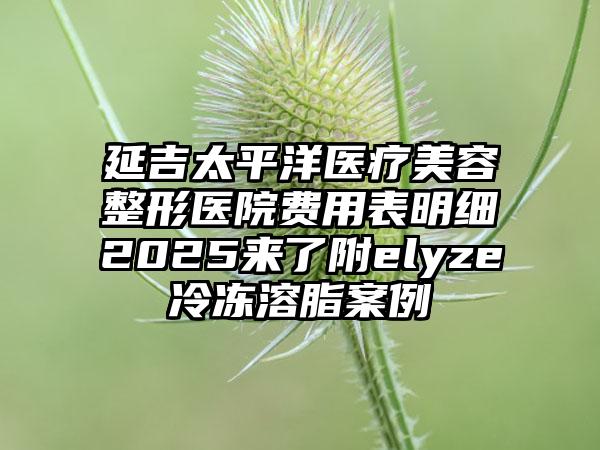 延吉太平洋医疗美容整形医院费用表明细2025来了附elyze冷冻溶脂案例