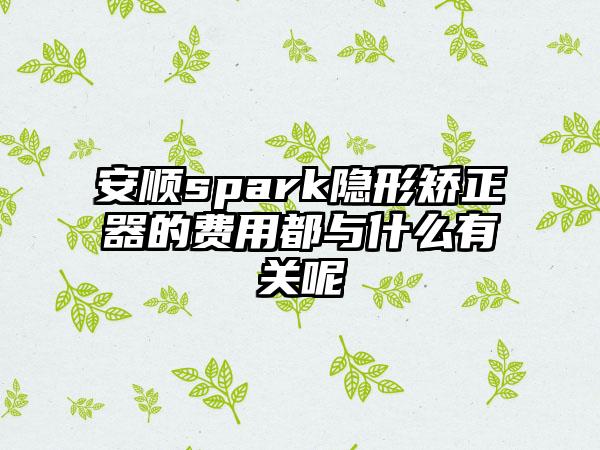 安顺spark隐形矫正器的费用都与什么有关呢