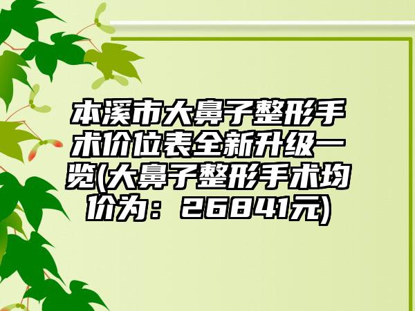 本溪市大鼻子整形手术价位表全新升级一览(大鼻子整形手术均价为：26841元)