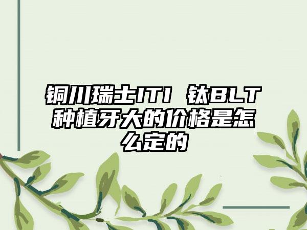 铜川瑞士ITI 钛BLT种植牙大的价格是怎么定的