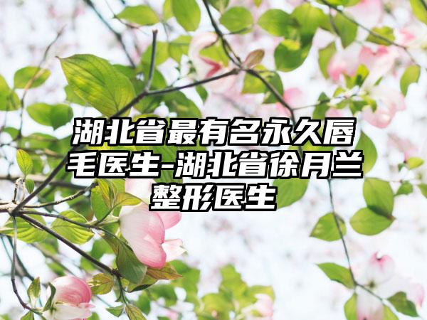 湖北省最有名永久唇毛医生-湖北省徐月兰整形医生