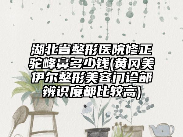 湖北省整形医院修正驼峰鼻多少钱(黄冈美伊尔整形美容门诊部辨识度都比较高)