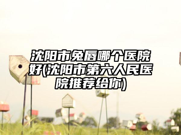 沈阳市兔唇哪个医院好(沈阳市第六人民医院推荐给你)