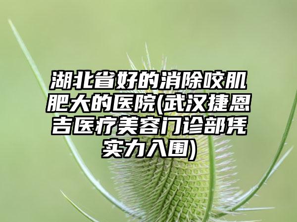 湖北省好的消除咬肌肥大的医院(武汉捷恩吉医疗美容门诊部凭实力入围)