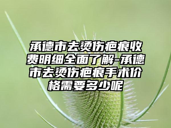 承德市去烫伤疤痕收费明细全面了解-承德市去烫伤疤痕手术价格需要多少呢